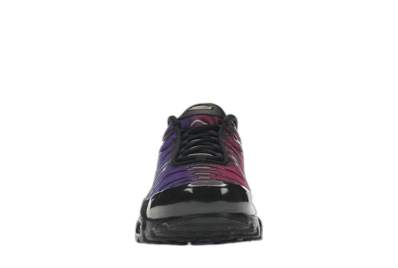 Nike Air Max Plus 25th Anniversary - Sneakerzone