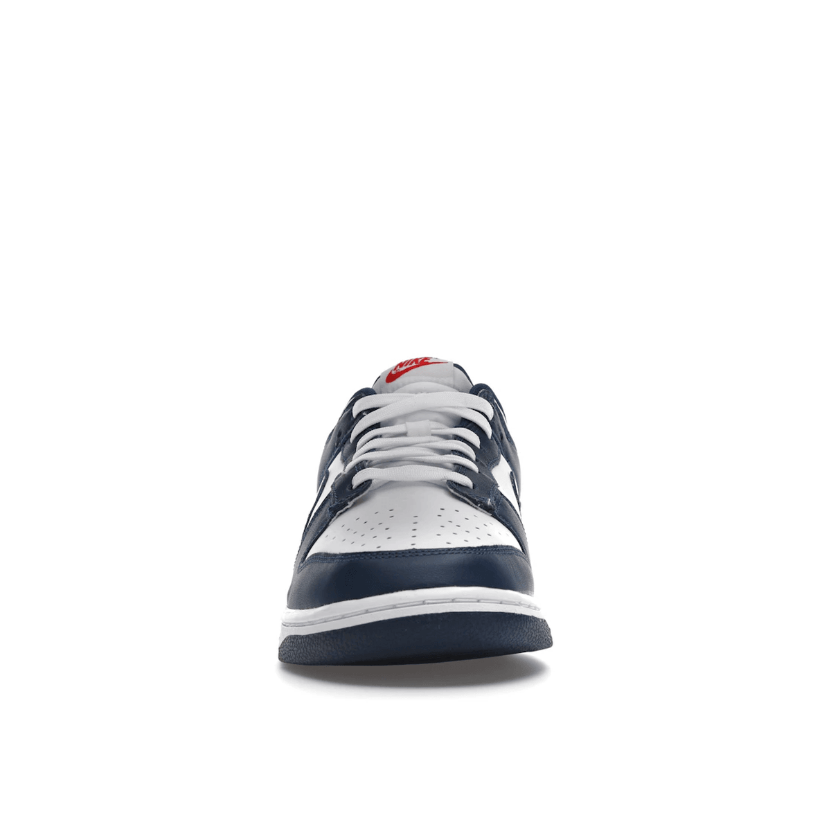 Nike Dunk Low Valerian Blue secondary image