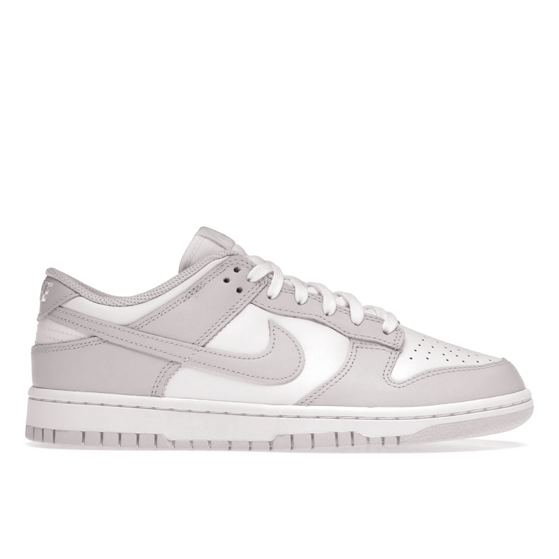 Nike Dunk Low Venice product image